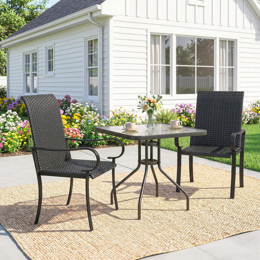 2 Piece PE Rattan Patio Dining Chairs with Steel Frame, for Garden, Backyard, Pool Side, Porch, Black