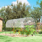 Tunnel Tomato Greenhouse with 4 Hoops and Top Tap, Pointed Bottom and Guy Ropes, 157.5" x 47.2" x 66.9", Clear