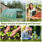 20x10x7ft Walk-in Steeple Greenhouse Outdoor Backyard Plant Seed Growth Shed Tunnel Warm House with 2 Anchor Way Green