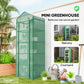 5 Tier Mini Greenhouse, Portable Outdoor Flower Stand with Shelf Clips, Indoor Greenhouse with Steel Frame, Transparent, 27.25" x 19.25" x 76", Green