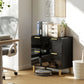 Lateral File Cabinet with 2 Drawers, Modern Filing Cabinet for Letter/A4/Legal Size Files, High Gloss Black