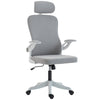 Ergonomic Office Chair with Adjustable Lumbar and Headrest - Grey