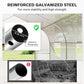 20x10x7ft Walk-in Steeple Greenhouse Outdoor Backyard Plant Seed Growth Tunnel Shed Warm House with 2 Anchor Way White