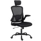 Ergonomic Office Chair, Mesh Desk Chair with Adjustable Headrest, Lumbar Support and Height, Flip-Up Armrests, Black