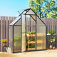 Polycarbonate Greenhouse Walk-in Greenhouse with Swing Door and Adjustable Window, 5.5 x 2ft, Black