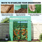 Mini Greenhouse, Portable Garden Green House with Roll-up Door and Mesh Windows, 6' x 2' x 6.6', Green