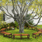 Wooden Outdoor Bench, Wrap Around Tree Bench with Slatted Seat for Yard, Garden, Deck, Lawn, Brown