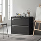Lateral Filing Cabinet with 2 Drawers, Lockable Steel File Cabinet for A4/Letter/Legal Size Files, Black