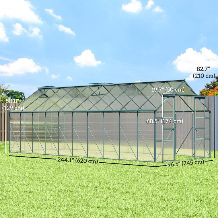 20' x 8' Aluminum Greenhouse with Rain Gutter and Sliding Door