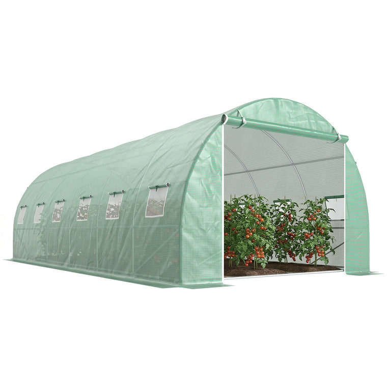 19.7' x 9.8' x 6.6' Green Walk-In Greenhouse with Windows & Door