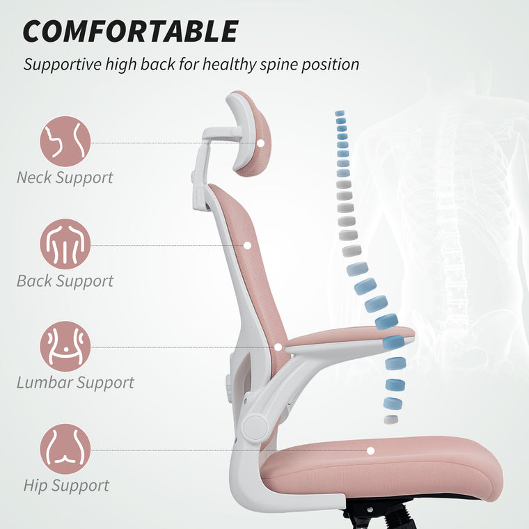 Ergonomic Mesh Office Chair with Lumbar Support