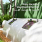 Portable Mini Greenhouse, Tunnel Growing Tent with 5 Mesh Windows and Steel Frame