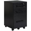 3-Drawer Vertical Filing Cabinet with Lock - Black