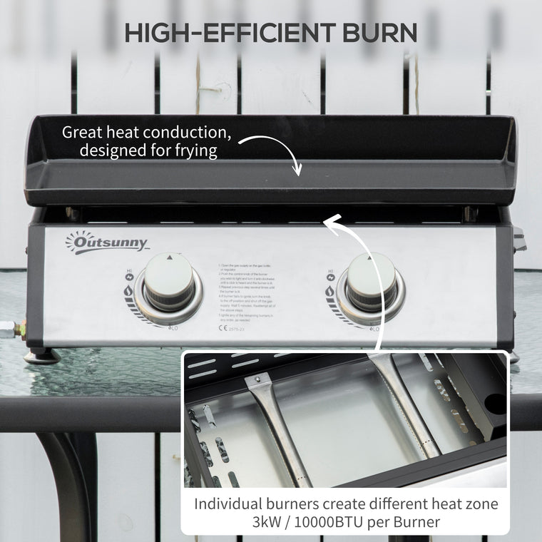 2-Burner Silver Portable Tabletop Gas Grill