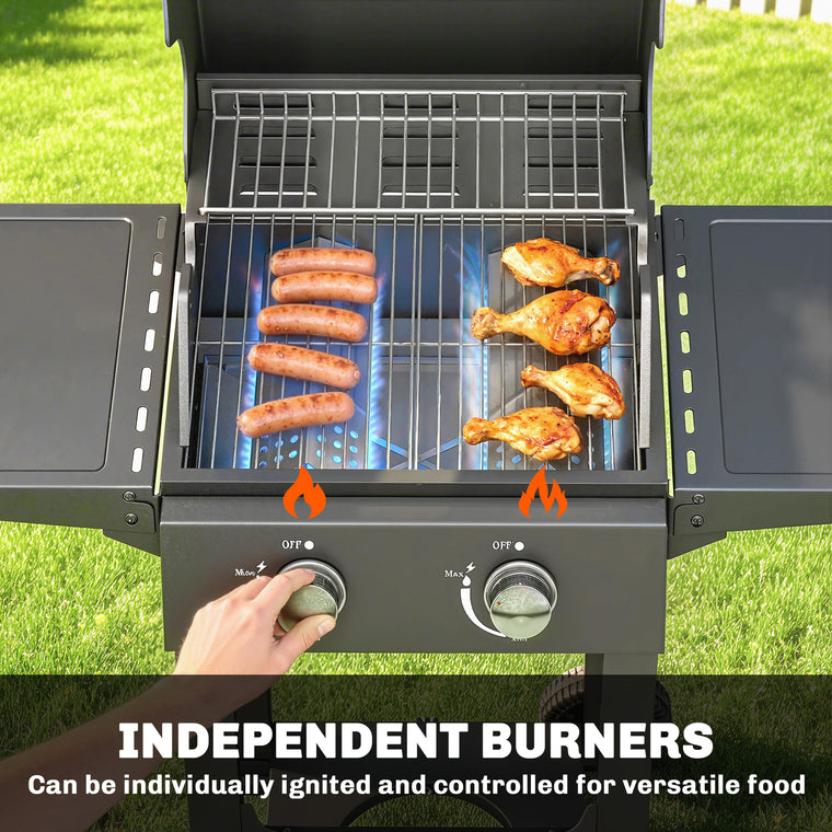 Black 2-Burner Propane Gas Grill with Side Shelves