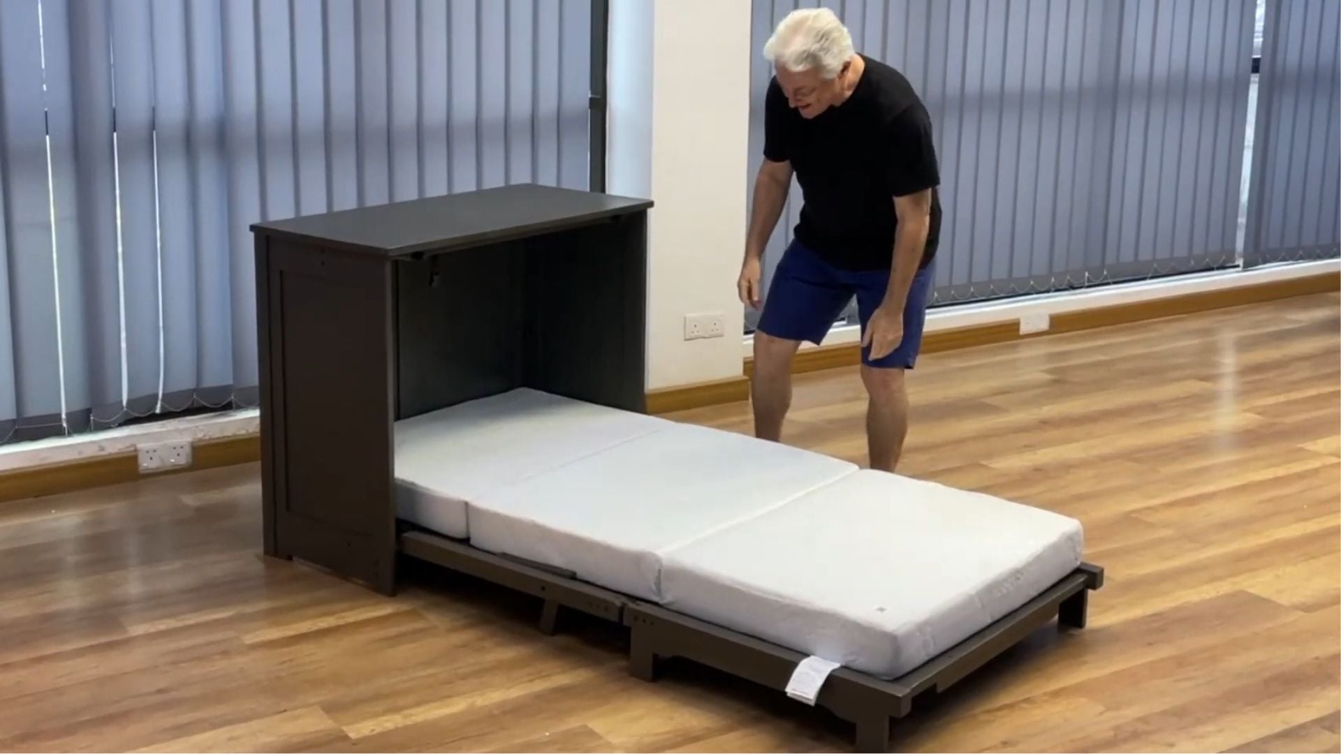 Load video: Queen Cabinet bed