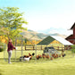 Large Metal Chicken Run with Waterproof & UV-Resistant Cover, Feeding Door, Hanging Feeder, Perch for 18-24 Chickens
