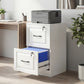 2 Drawer File Cabinet with Lock, Vertical Filing Cabinet with Adjustable Hanging Bars for A4 and Letter Size, White