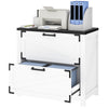 2-Drawer Farmhouse Filing Cabinet - White