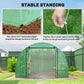 Walk-in Tunnel Greenhouse with 2 Support Rods, Mesh Door, Plant Hot House with PE Cover, 20'x10'x7', Green