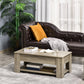 Lift Top Coffee Table with Hidden Storage Compartment and Open Shelf, Center Table for Living Room, Grey