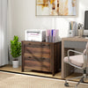2 Drawer File Cabinet, Lockable Filing Cabinet with Adjustable Hanging Bar for Letter, A4 and Legal Size, Brown