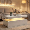 LED Coffee Table with Storage, 2-Tier Modern Center Table with 2 Drawers for Living Room, High Gloss White