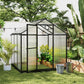 6' x 8' x 6.4' Polycarbonate Greenhouse, Aluminum Walk-In Green House Kit Garden, Plants Grow with Rain Gutter and Roof Vent, Charcoal Grey