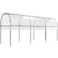 Tunnel Tomato Greenhouse with 4 Hoops and Top Tap, Pointed Bottom and Guy Ropes, 157.5" x 47.2" x 66.9", Clear