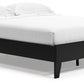 Finch - Queen Platform Bed - Black
