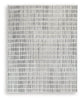 Turinwith - Rug