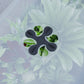 41L Self Watering Raised Garden Bed w/ Ventilation Transparent Lid Greenhouse, Planter Box w/ Storage Shelf, Dark Grey