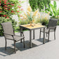 Patio Chairs Set of 2 with Armrest and High Backrest, for Backyard, Balcony, Porch, Poolside, Deck, Garden, Brown