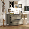 2 Drawer File Cabinet, Lockable Filing Cabinet with Adjustable Hanging Bar for Letter, A4 Size, Weathered Grey Oak