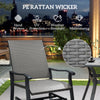Rattan Glider Swivel Chairs with High Back, Set of 2