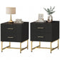 2 Pieces Nightstands with Storage, Modern Bedside Tables with 2 Fluted Drawers and Gold Legs for Bedroom, Black