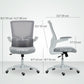 Ergonomic Office Chair with Lumbar Support and Flip-Up Arms - Grey