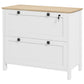 2-Drawer Lockable Filing Cabinet - White