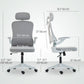 Ergonomic Office Chair with Adjustable Lumbar and Headrest - Grey
