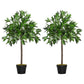 3FT Artificial Laurel Tree Set of 2, Lifelike Fake Plant with 564 Leaves, Potted Fake Plant for Home Office Decor, Green