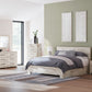 Lawroy - Storage Bedroom Set