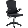 Ergonomic Office Chair with Adjustable Lumbar Support - Black