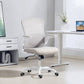 Ergonomic Mesh Office Chair with 4D Lumbar Support - Grey