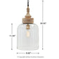 Faiz - Transparent - Glass Pendant Light - Forward Furniture