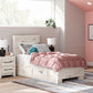 Lawroy - Panel Bed With Storage