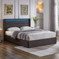 Luminous Grey Bed Frame with LED & Storage