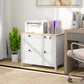 2 Drawer File Cabinet, Lockable Filing Cabinet with Adjustable Hanging Bar for Letter, A4 and Legal Size, White