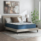 Limited Edition Firm 3.0 - Mattress