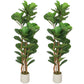 5FT Artificial Fiddle Leaf Fig Tree Set of 2, Fake Potted Tree with Solid Wood Trunks for Indoor Decor, Green