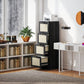 4 Drawer Filing Cabinet with Lock, Boho File Cabinet for A4 Letter Size Files with Decorative Rattan Accents, Black